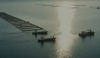 Xinjiang Sanwen Fishery<br> Co., Ltd.