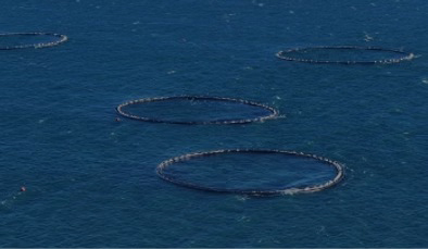 Gongliu Tianyun Fishery <br>Co., Ltd.