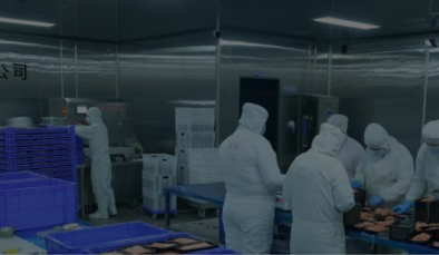Xinjiang Zungui <br>Fresh Food Technology Co., Ltd.