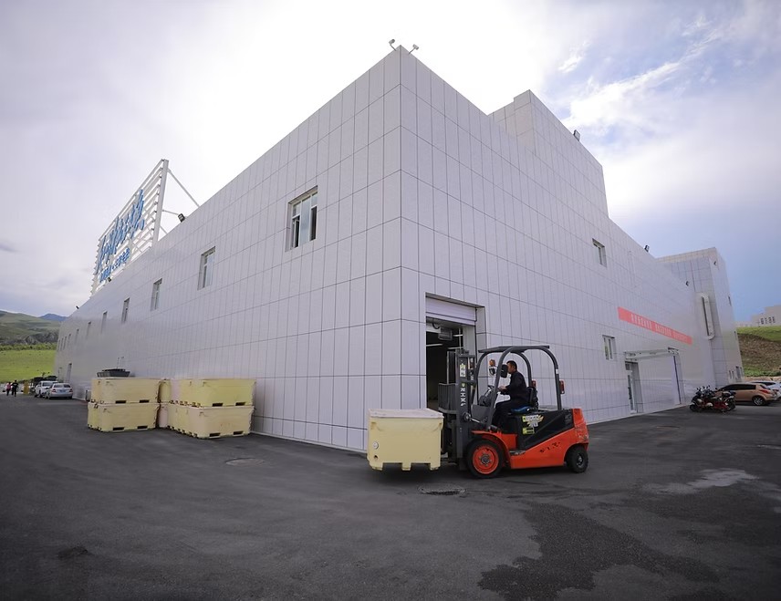 Salmon primary processing standardization factory