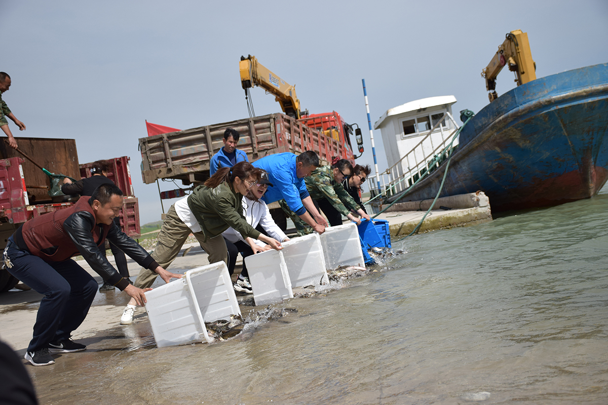 Carbon sink fishery