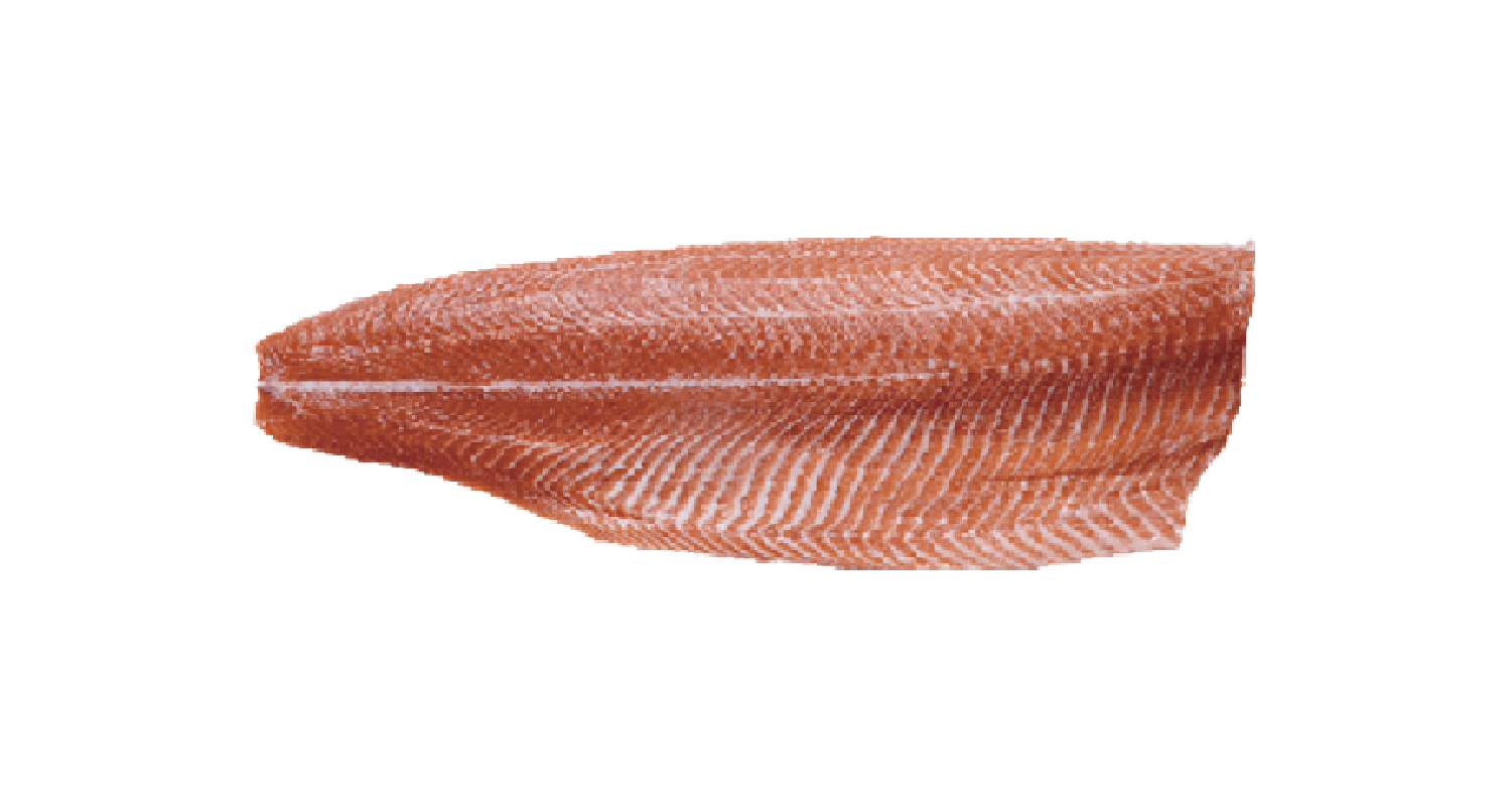 Fish fillet