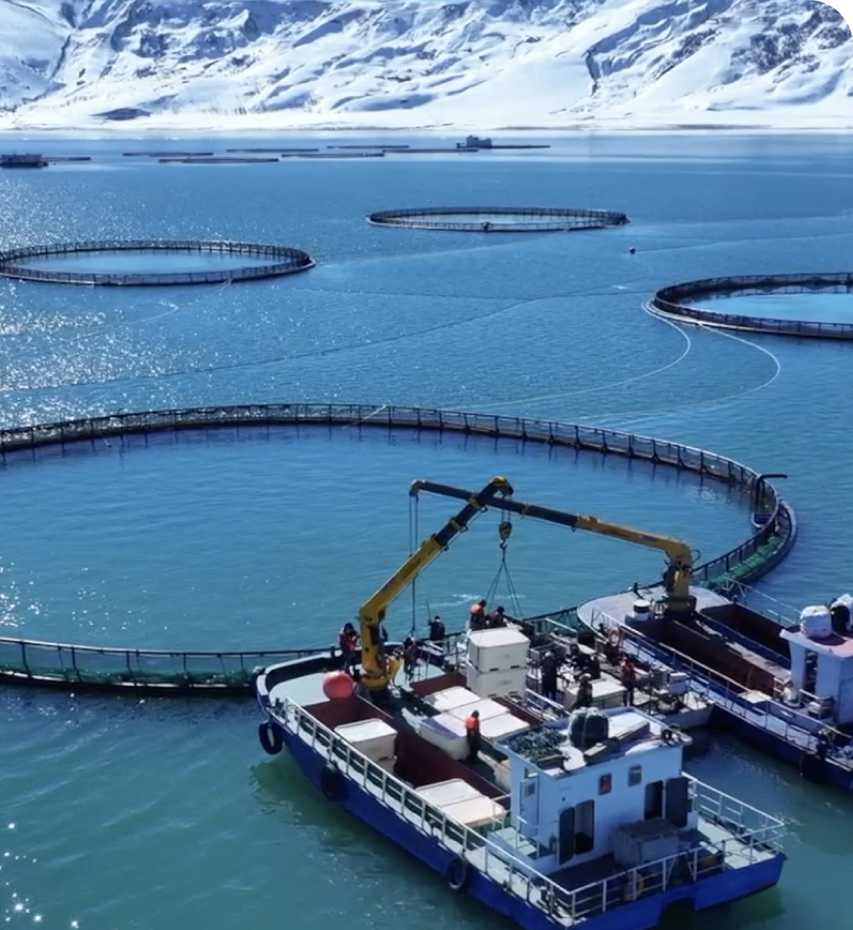 Modern smart fishery breeding base